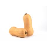 Butternut Kürbis