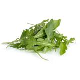 Rucola
