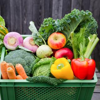 Gemüse & Obst groß