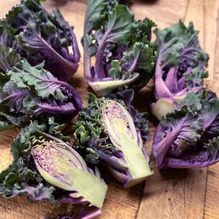 Kohlröschen (Flower Sprouts)