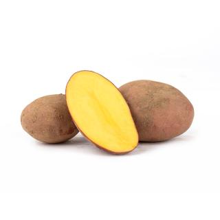 Kartoffeln rotschalig 10 kg vorw.festkochend Laura