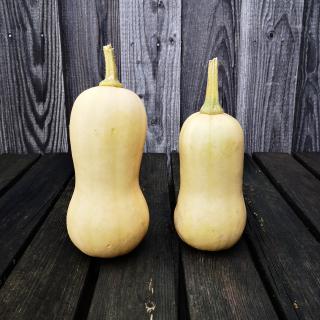 Butternut Kürbis