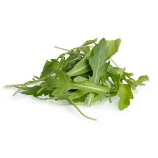 Rucola