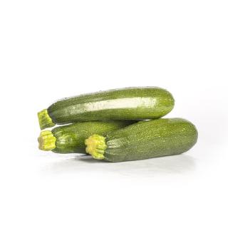 Zucchini