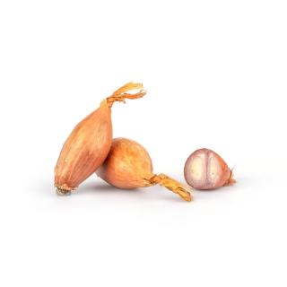 Zwiebel Schalotten